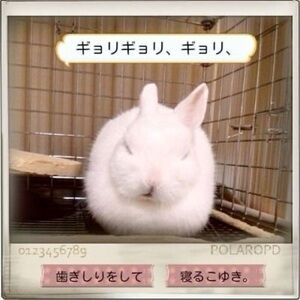 Thanks for stopping by! :D